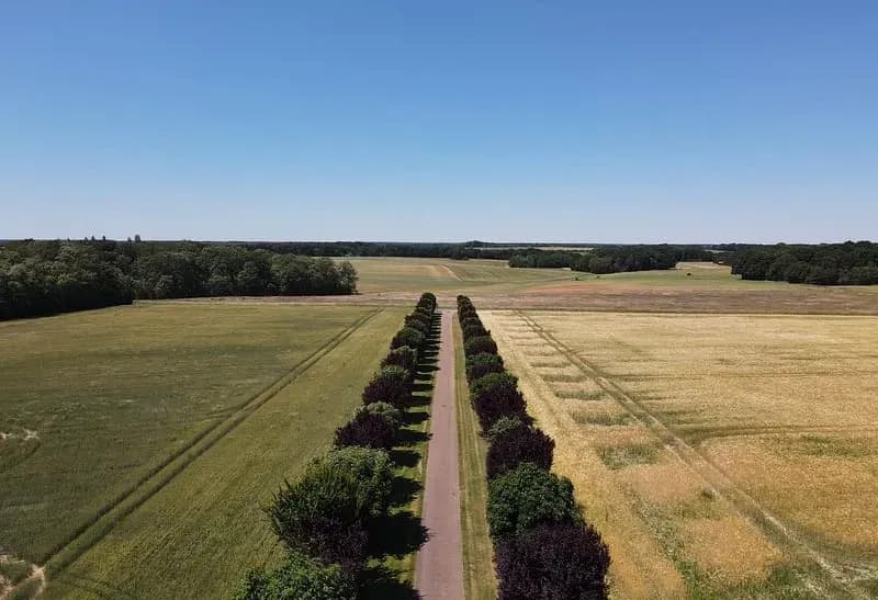 Domaine des Crançons — photo 3