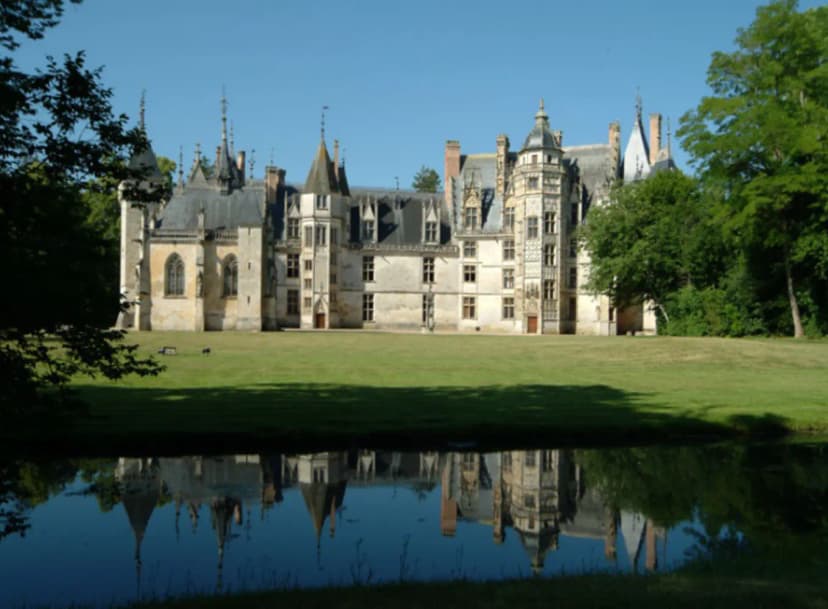 Château de Meillant — photo 4