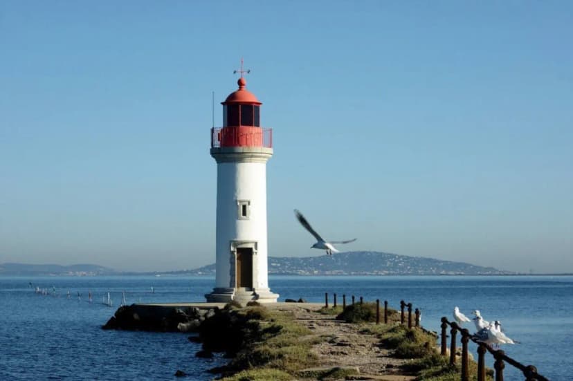 Demeure Terrisse | Résidence Hôtelière à Marseillan — photo 5
