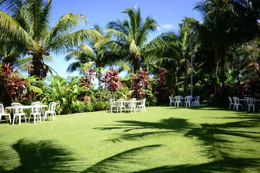 Domaine des Mille cocos — photo 5