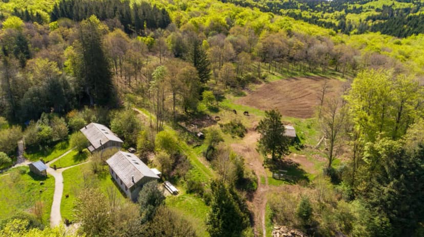 Domaine du Moulinet — photo 1