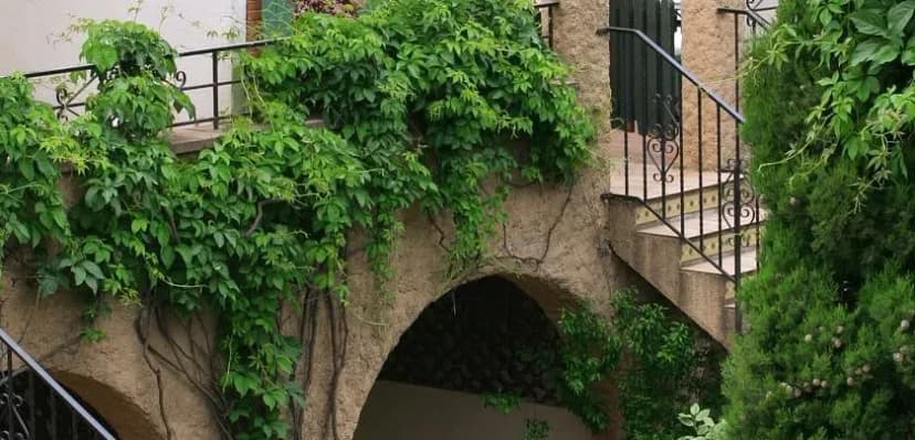 Hôtel Mas des Citronniers - Collioure — photo 5