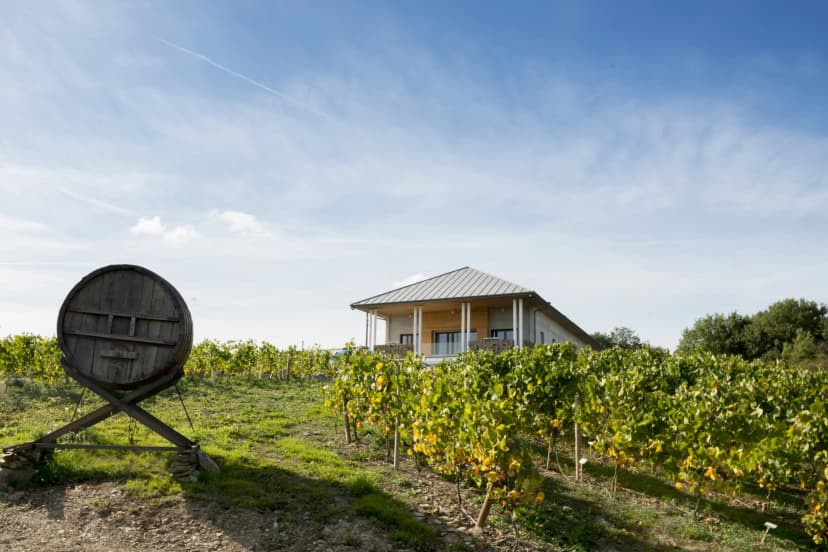 Vignoble Marchais - Le Chai de Thouaré sur Loire — photo 1