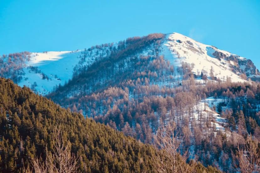 Hotel Chamois d'Or — photo 3