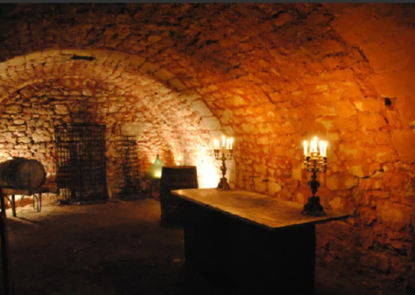 Château de Medan — photo 5