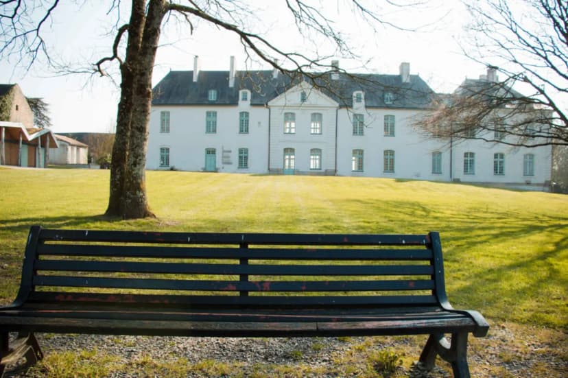 SURPRENANTES - Château du Pé — photo 1
