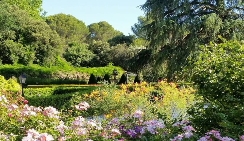Château Capion — photo 3