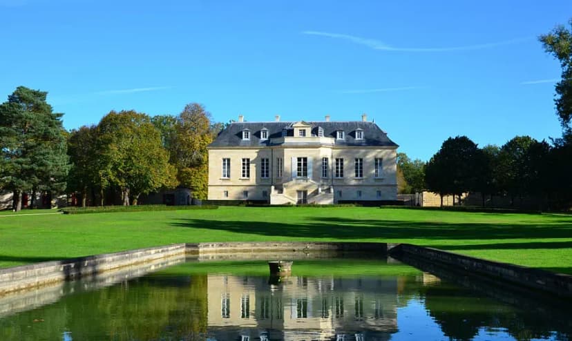 Château La Louvière — photo 1