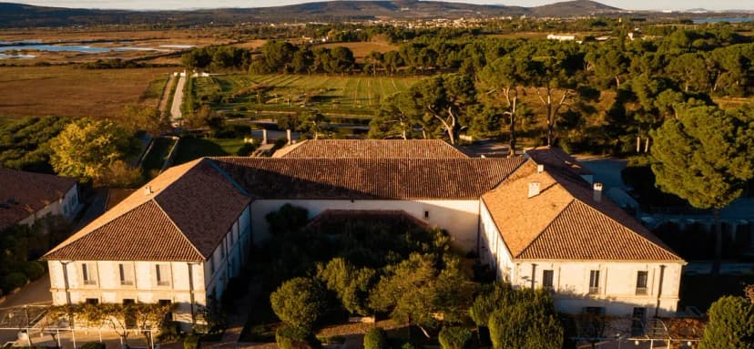 Domaine du Mas Neuf — photo 4