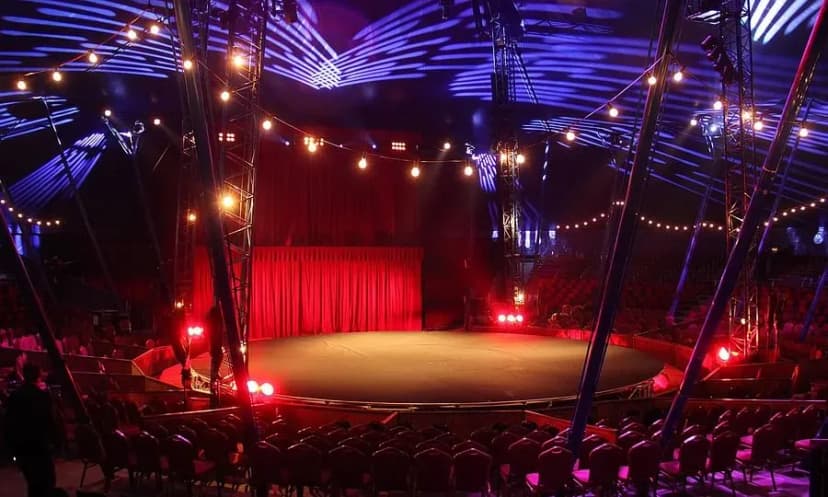 Cirque Alexis Gruss — photo 4