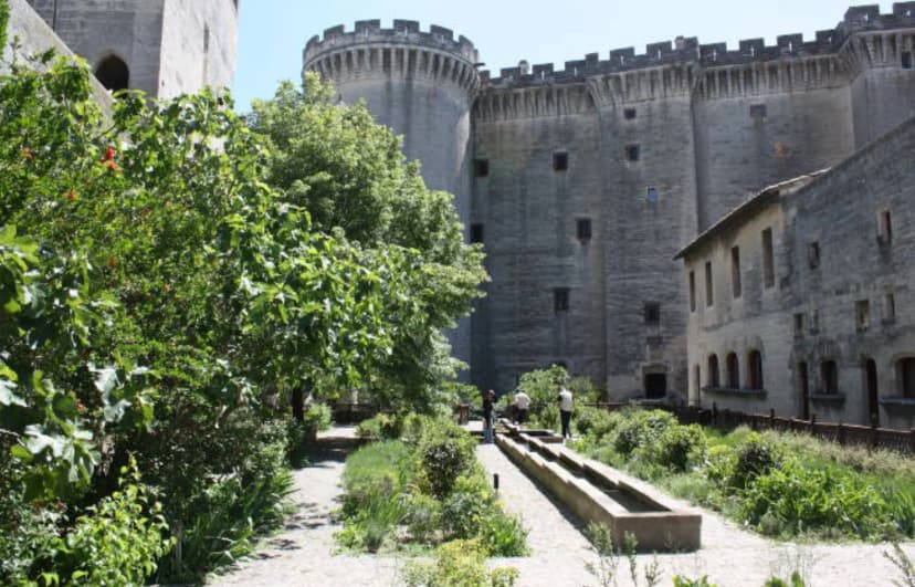 Tarascon Castle — photo 4