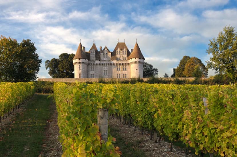Château de Monbazillac — photo 4