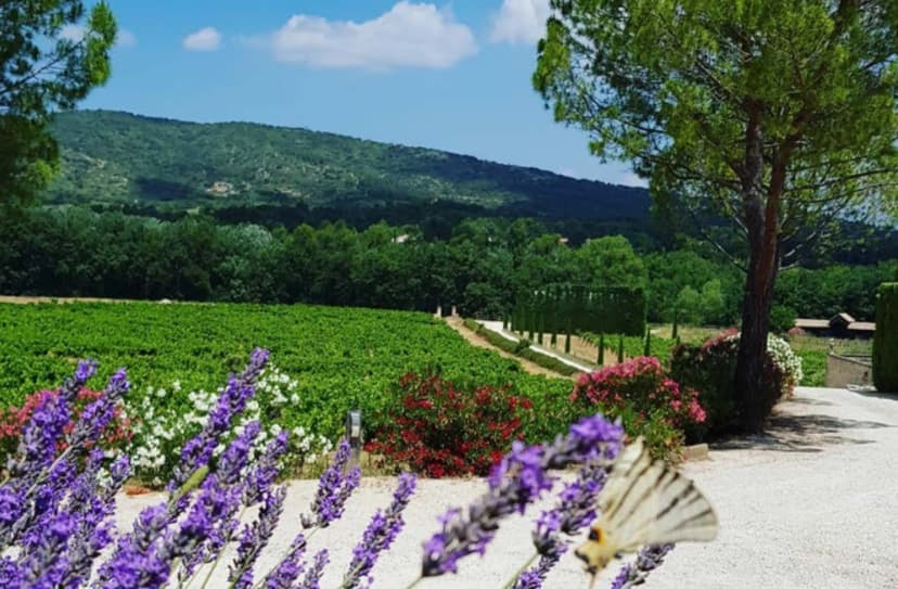 Domaine Tour Campanets — photo 2