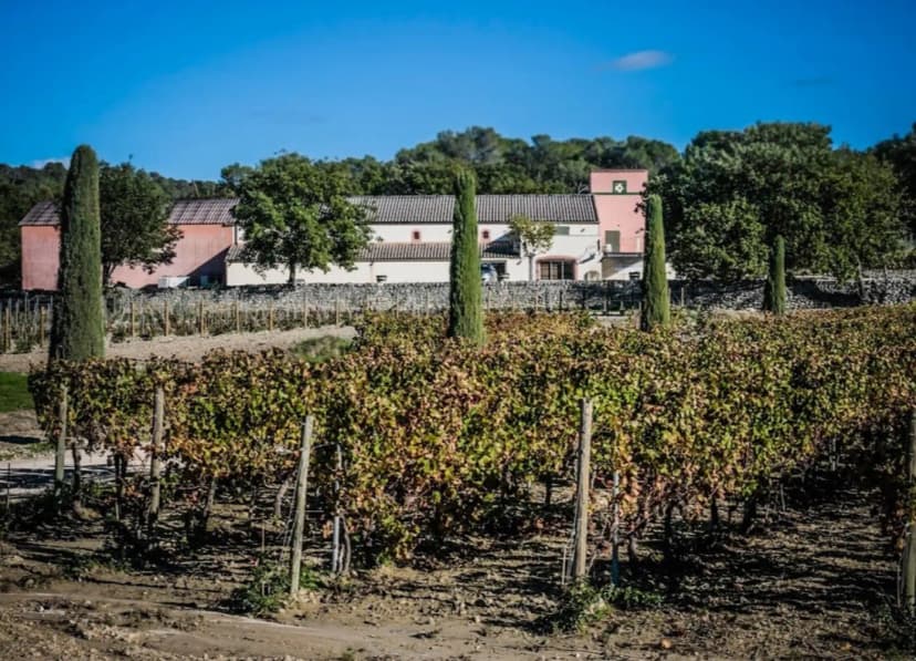 Domaine Naïs — photo 3