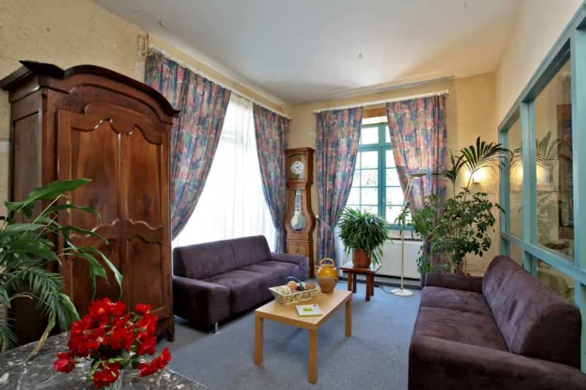 Logis Hôtel le Lion d'Or — photo 3