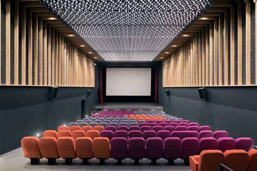 Le Cinéma Nuiton — photo 2