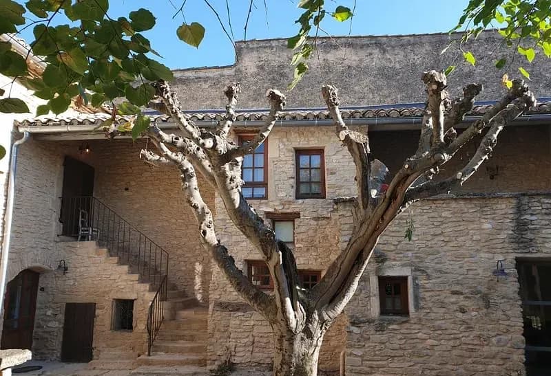 Le Mas de la Lise — photo 4