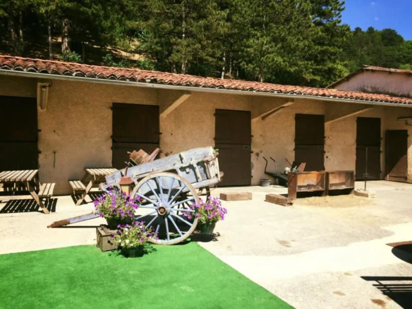 Cheval Bugey — photo 4