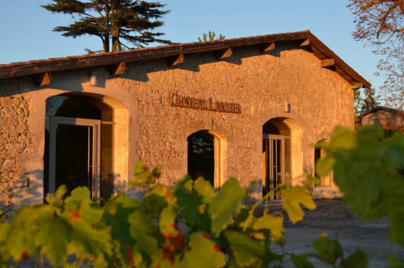 Château Lardier — photo 4
