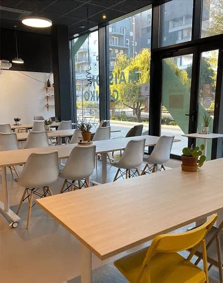 GINKO & CO — photo 2