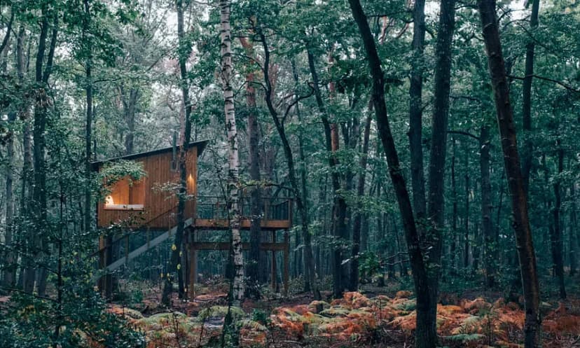 Youza ecolodge — photo 1