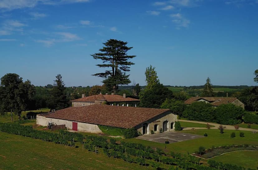 Château Lardier — photo 3