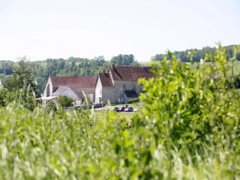 Domaine de Véronge — photo 1