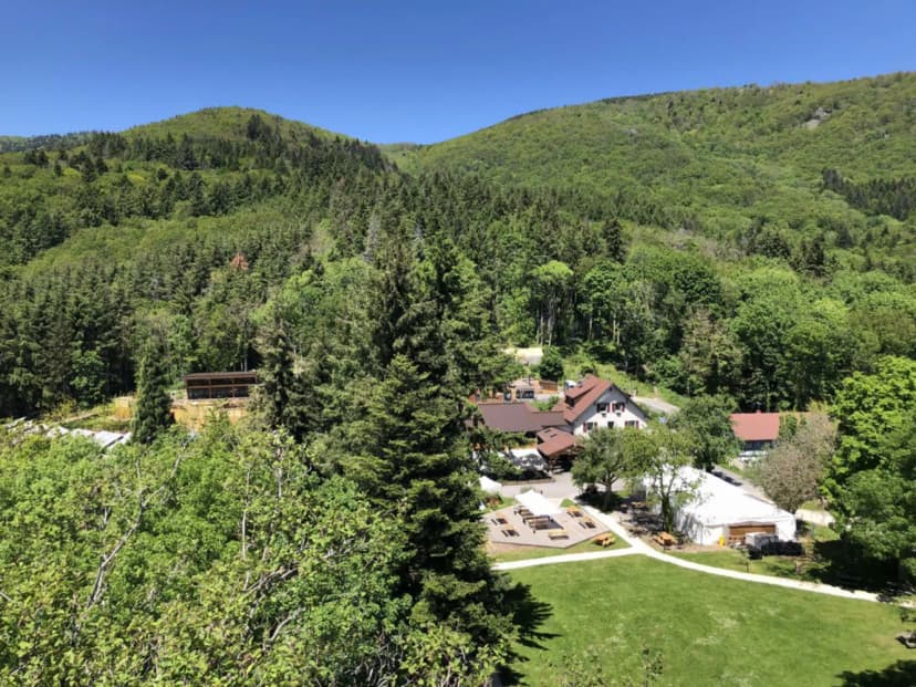 Domaine du Hirtz — photo 1