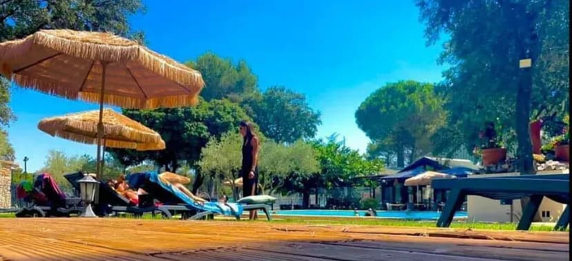 LA VIDA — photo 2