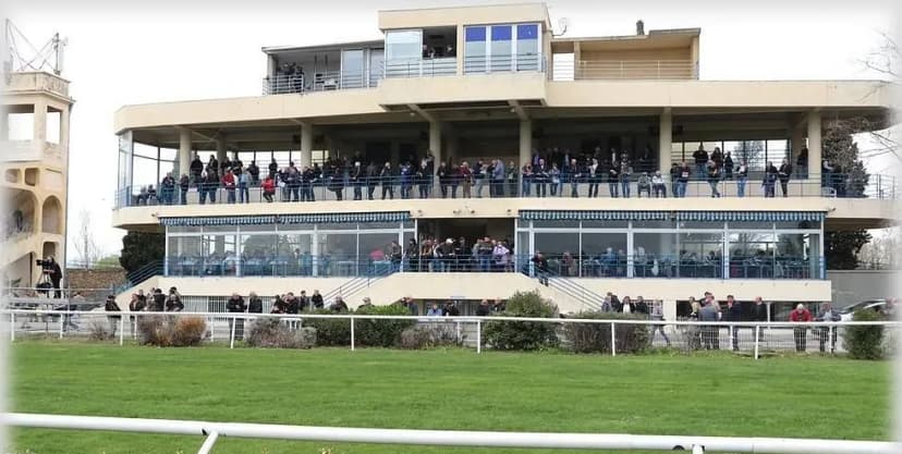 Racecourse of Crau — photo 5