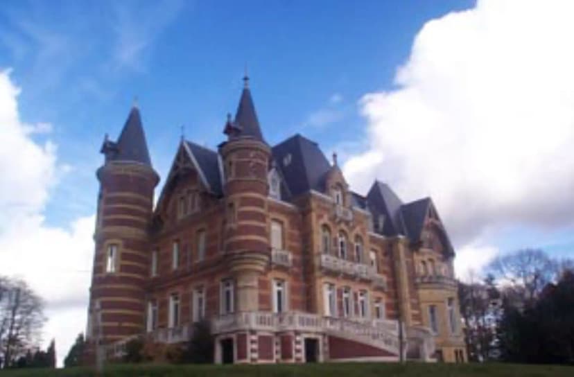 Château de la Guerche — photo 5