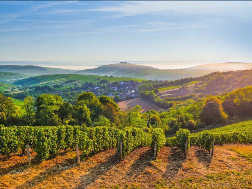 House of Sancerre — photo 5