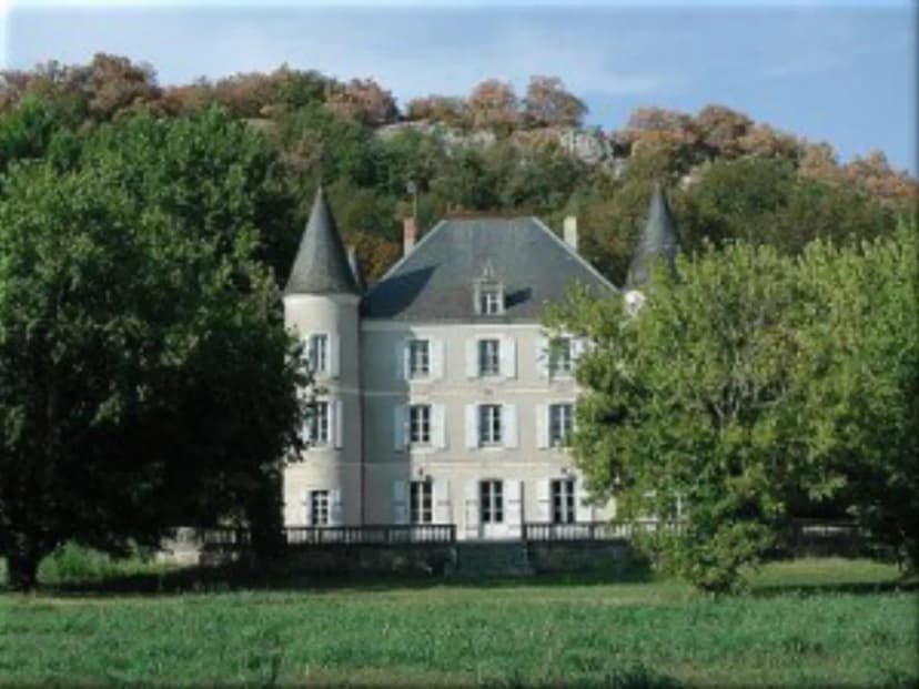 Château de la Tuilerie — photo 1