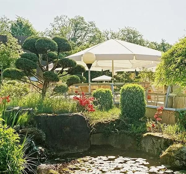 La Clairiere Bio & Spa Hotel — photo 3