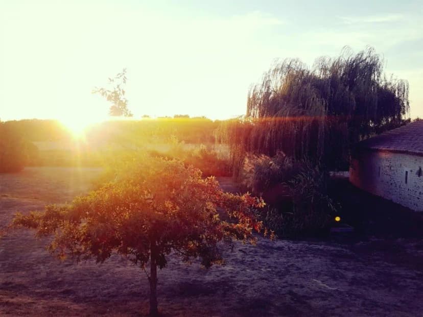 Domaine la Moinardiere — photo 5