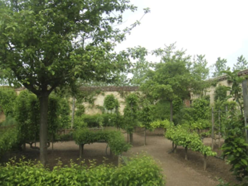 Château d'Ainay-le-Vieil — photo 4