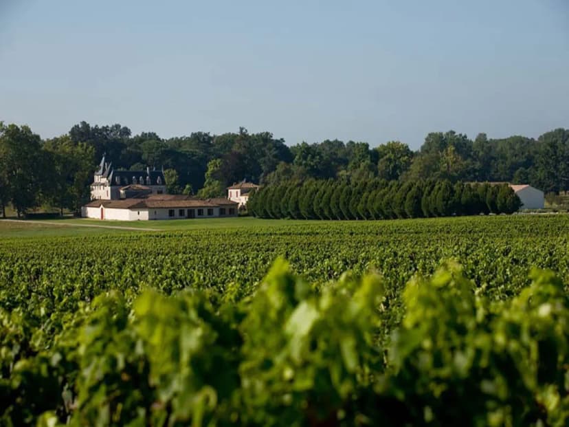 Château Olivier — photo 5