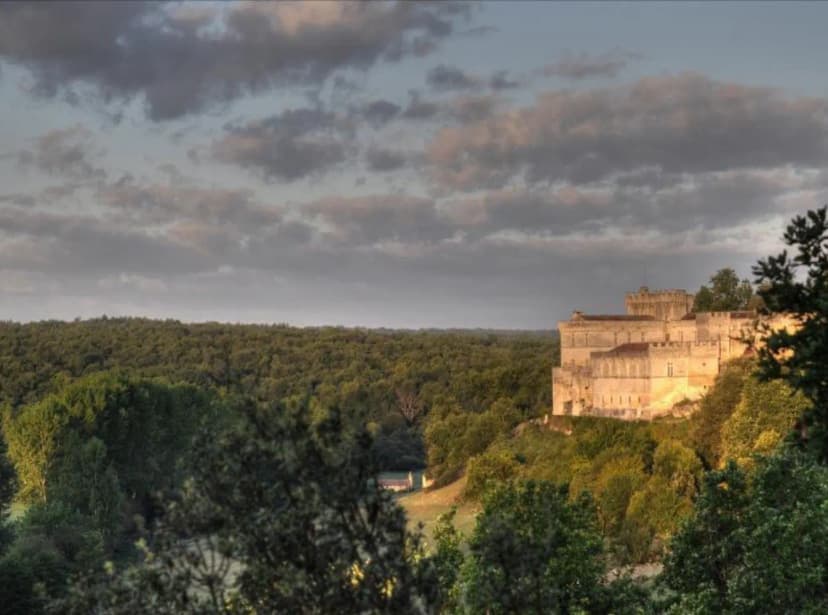 Château de la Tranchade — photo 5