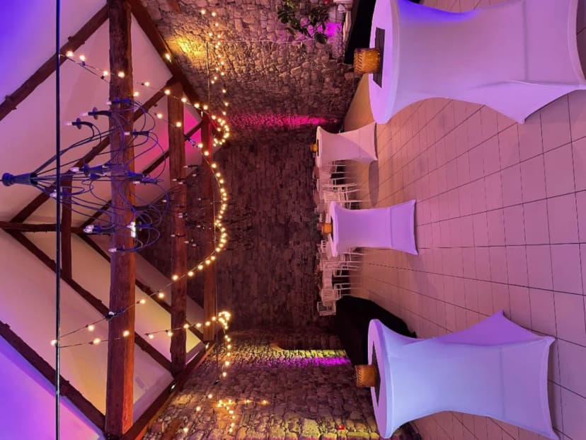 Manoir de la Bégaudière — photo 4