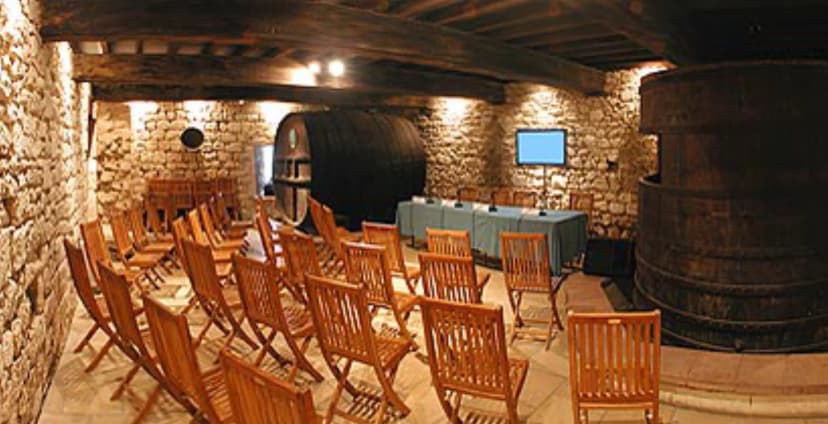Château d'Aubiac — photo 5