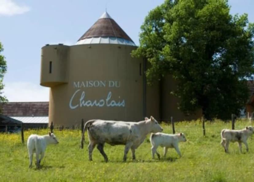 Maison du Charolais — photo 5