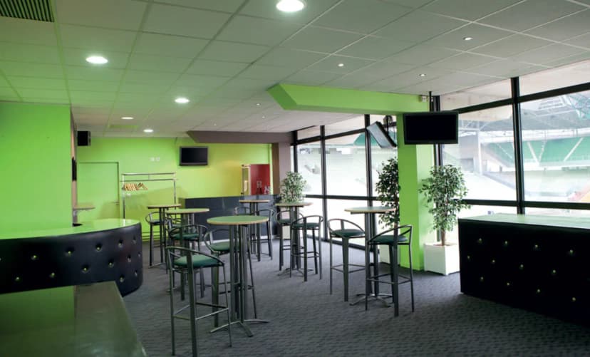 Stade de Saint-Etienne — photo 2