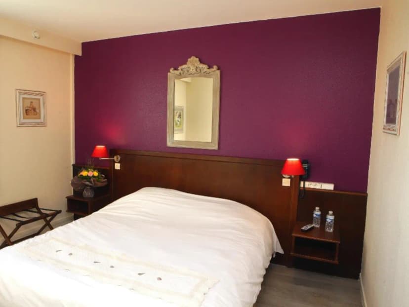 Logis Hôtel les Nymphéas — photo 3