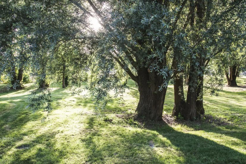 Escale Des Châteaux de la Loire — photo 5