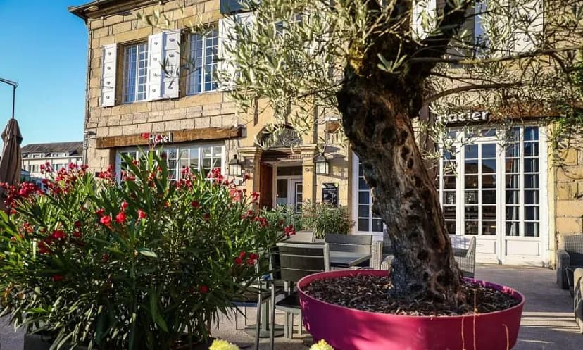 Hotel La Réserve de Brive — photo 5