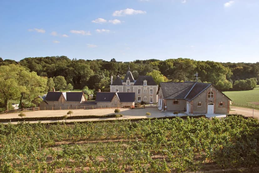 Château de la Mulonière — photo 1