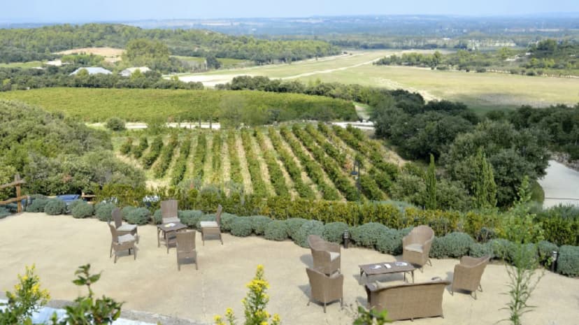 Château Romanin — photo 3