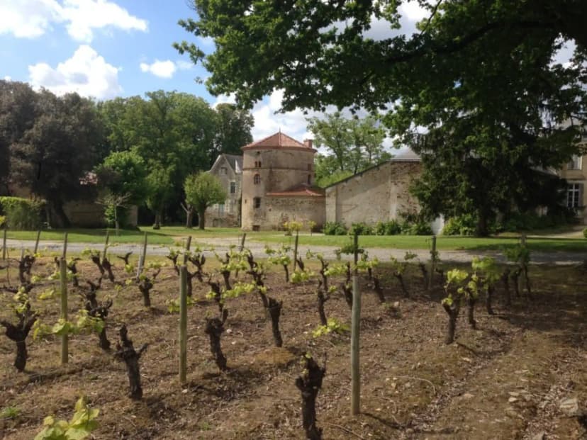 Vignobles Günther-Chéreau , Château du Coing — photo 4