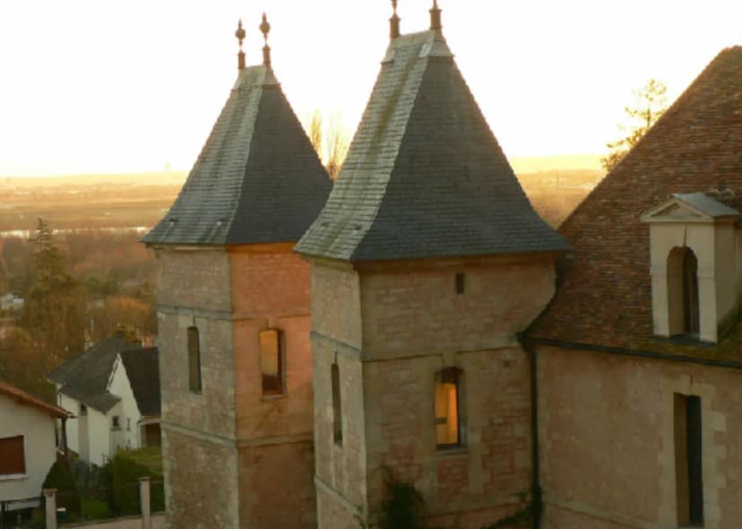 Château de Medan — photo 3