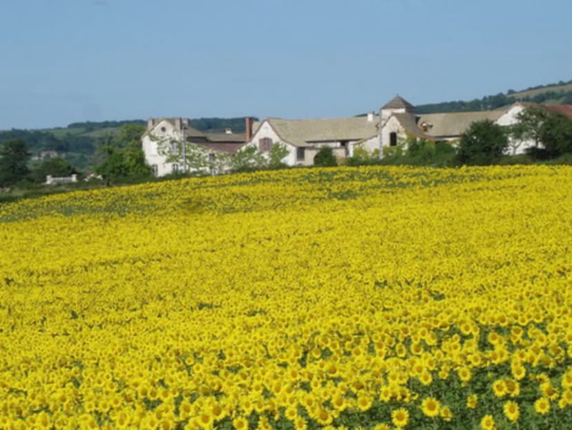Domaine de Morlay — photo 5